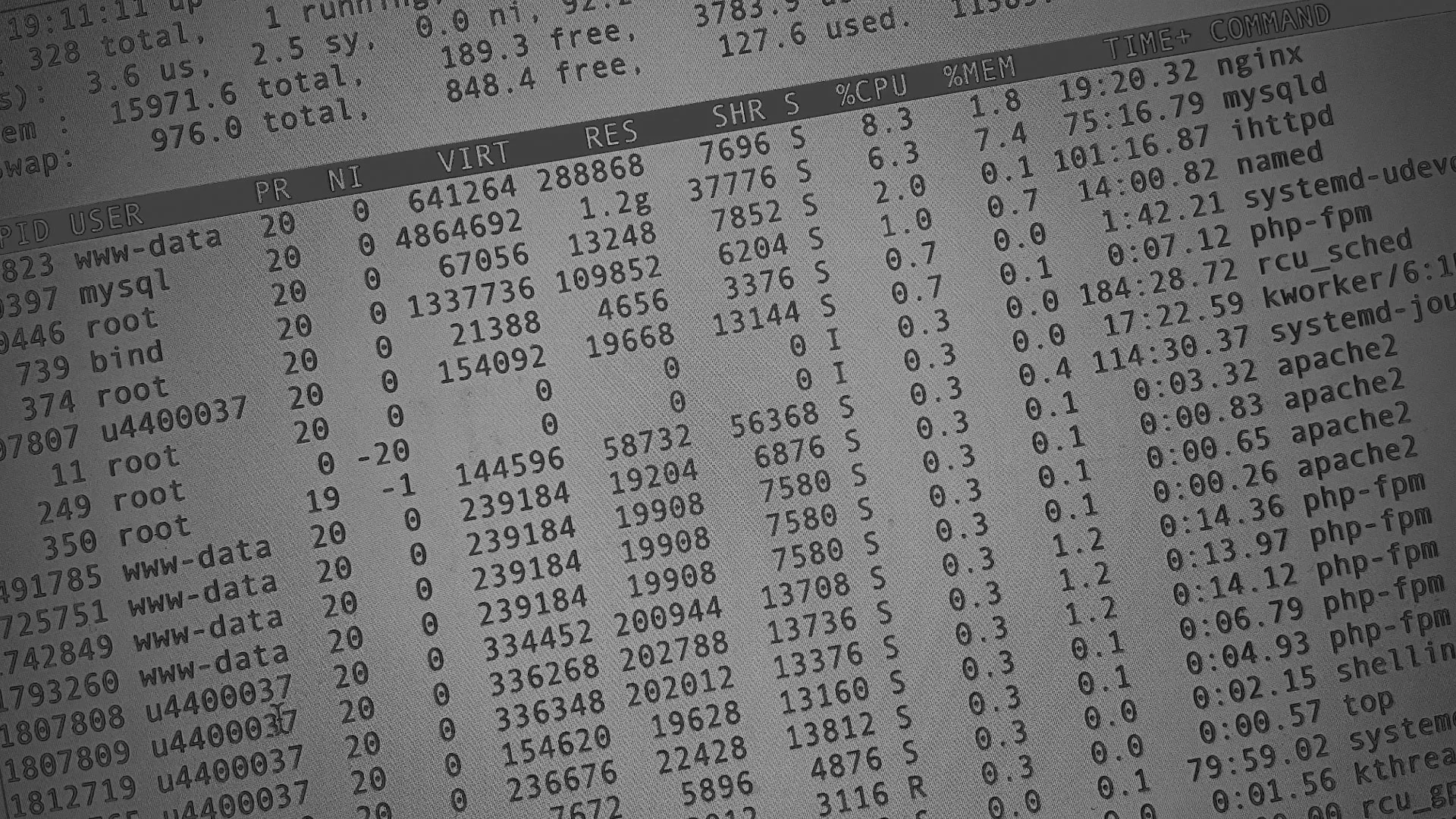 Настройка сервера в Горно-Алтайске